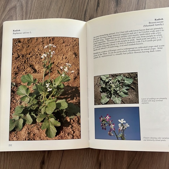 Book: Weeds of the West - Picture 6 of 7